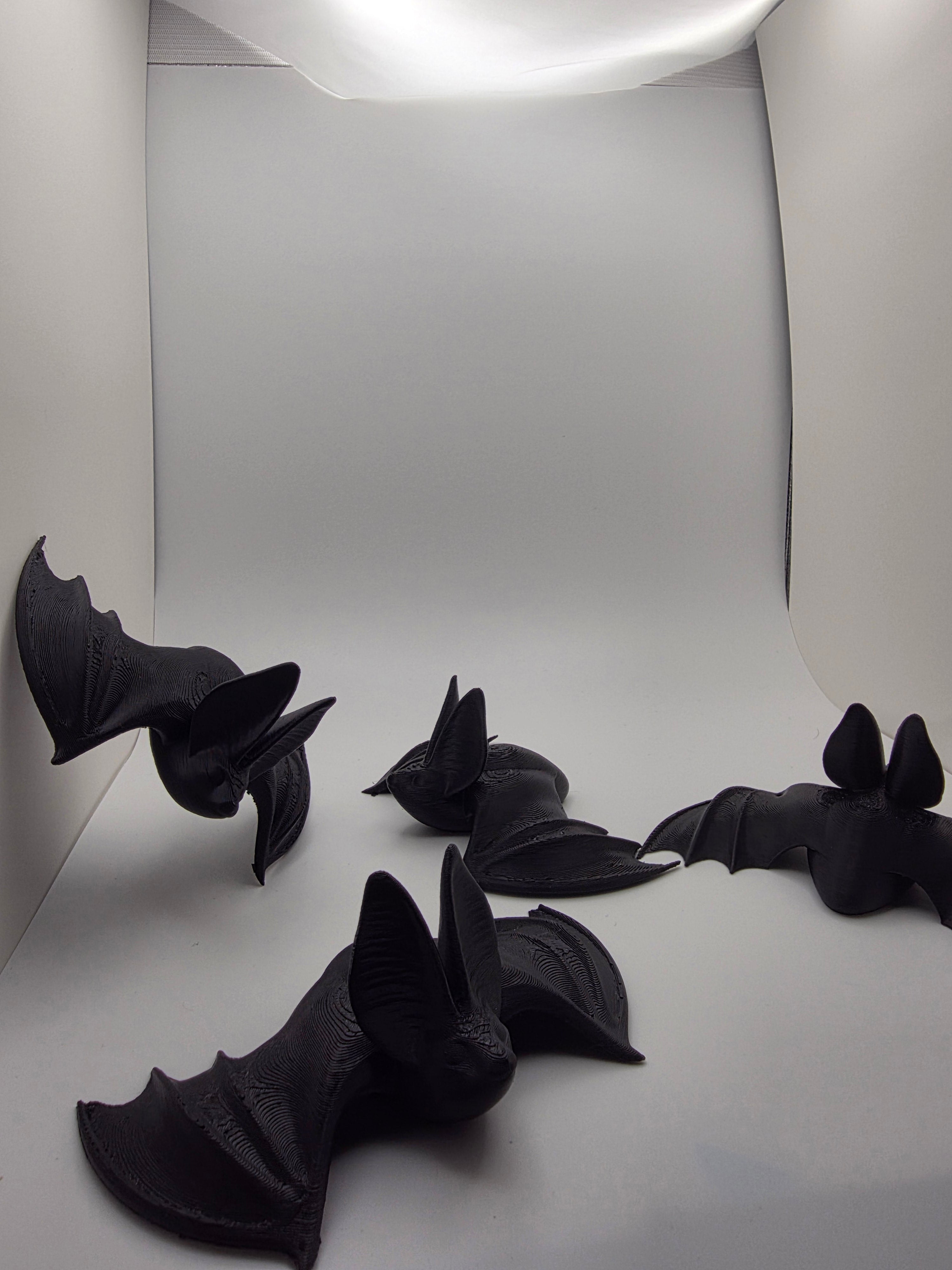 🦇 Chauves-souris Halloween – Lot de 10 – 19,99 € (livraison offerte)